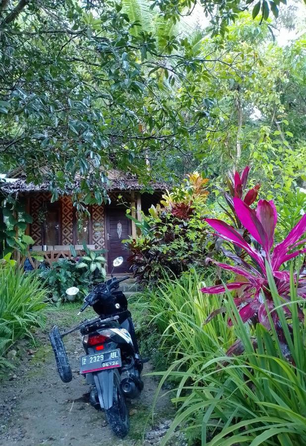 Anik Homestay & Dormy Batukaras Exterior foto